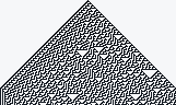 Rule 30 cellular automata thumbnail